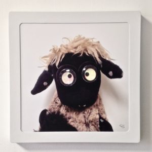 Mouton à tête noire
